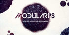 ModulARPS