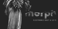 Morph cover 1000x512