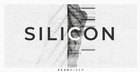 Silicon