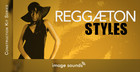 Reggaeton Styles 1