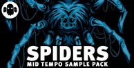 Gs spiders mid tempo sounds 512 web