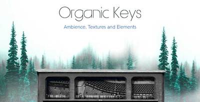 Production master   organic keys   artwork 1000x512web