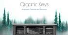Production Master - Organic Keys