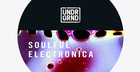 Soulful Electronica