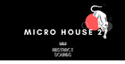 Abstract Sounds - Micro House 2
