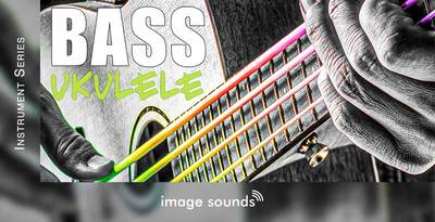 Bass ukulele 1 banner