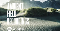 Black octopus sound   ambient field recordings by ak   1000x512web