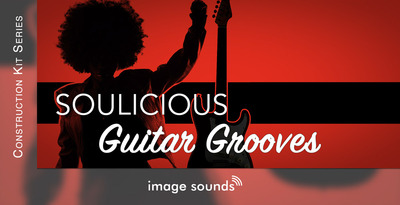 Soulicious guitar grooves 1 banner