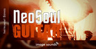Image Sounds - Neo Soul Guitar 1