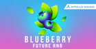 Blueberry Future RnB