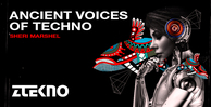 Ztekno ancient voices of techno banner