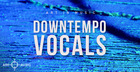 Downtempo Vocals