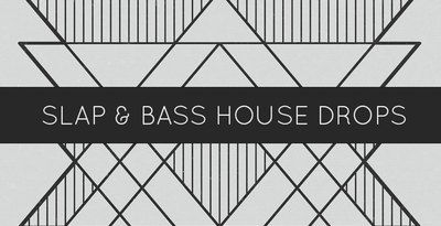 Slap   bass house drops 1000x512web