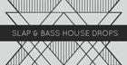 Slap & Bass House Drops