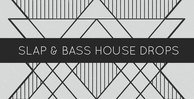 Slap   bass house drops 1000x512web