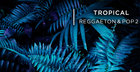Tropical Reggaeton & Pop 2 
