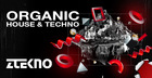 Organic House & Techno