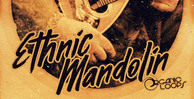 Royalty free indian samples  mandolin loops  authentic world music  mandolin phrase loops at loopmasters.com rectangle