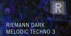 Riemann Dark Melodic Techno 3