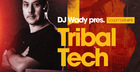 DJ Wady - Tribal Tech
