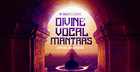 Divine Vocal Mantras - Spiritual Indian Chants