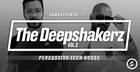 The Deepshakerz vol 2 - Percussive Tech House