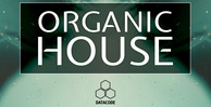 Datacode   focus organic house   banner