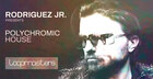 Rodriguez Jr. - Polychromic House