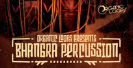 Royalty free world percussion samples  indian percussion rhythms  tabla and cabassa loops  bhangra music  tambourine loops at loopmasters.com rectangle