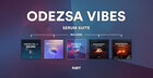 ODEZSA VIBES Serum Suite