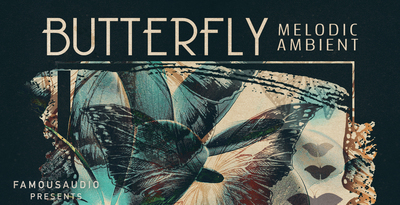 Fa bf melodic ambient 1000x512 web