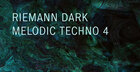 Riemann Dark Melodic Techno 4