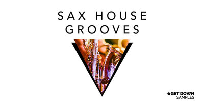 Saxhousegrooves webbanner