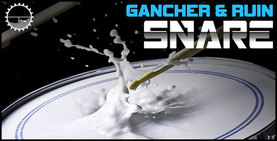 4 snar 1
