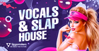 Vocals & Slap House