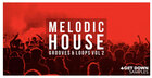 Melodic House Grooves & Loops Vol 2