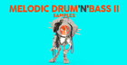 Melodic Drum And Bass II