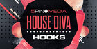 House Diva Hooks