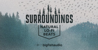 Surroundings: Natural Lo-Fi Beats