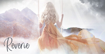 Pl reverie banner web