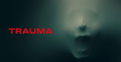 Pl trauma web banner