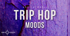 Trip Hop Moods