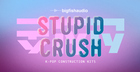 Stupid Crush: K-Pop Construction Kits