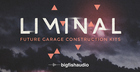 Liminal: Future Garage Construction Kits