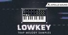 Lowkey Trap Melody Samples