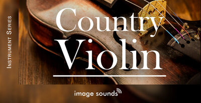 Country violin banner