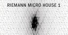Riemann Micro House 1