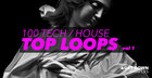 100 Tech/House Top Loops Vol 1