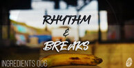 Rhythm   breaks   primate 1000x512 web