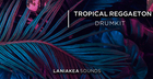 Tropical Reggaeton Drum Kit